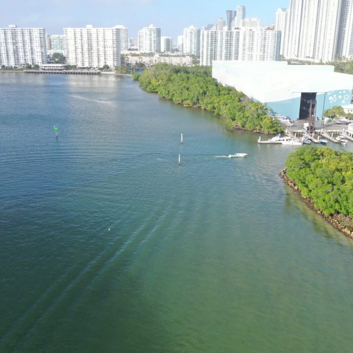 whatsapp image 2020 10 19 at 11.26.52 am 700x700